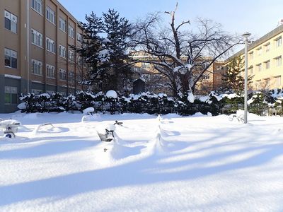Hirosaki University’s bicycle parking space in the winter
