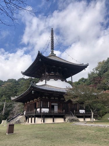 The Negoro-ji temple Daitо̄,Japan’s national treasure. Photo by Jianing Guo, in [2020.11.22].